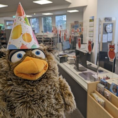 das Foto zeigt das B&uuml;cherei Maskottchen Euli mit einem Partyhut auf dem Kopf 
